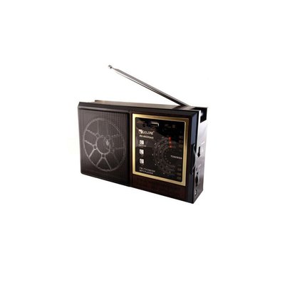 Радиоприемник MP3 Golon RX-9922/98UAR 242349 фото